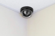 Camera supraveghere video FALSA interior-exterior cu led indicator rosu