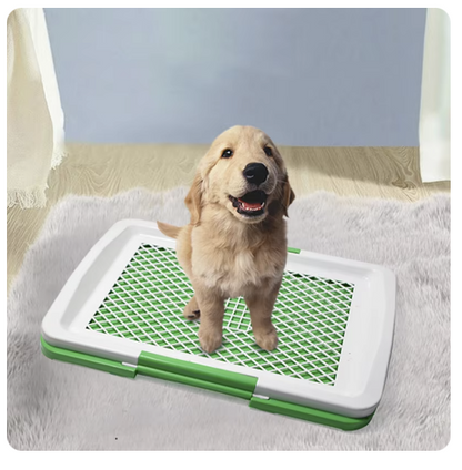 Litiera tip Tavita Toaleta pentru Animale de companie cu Gazon/Iarba Artificiala pentru Casa