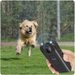 Aparat cu ultrasunete impotriva cainilor Dog Chaser