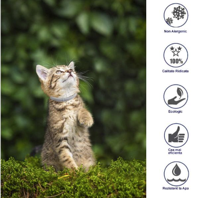 Set X2 Zgarda antiparazitara, pentru purici si capuse, protectie pana la 8 luni pentru animale (caini si pisici)