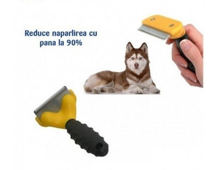 DISPOZITIV PENTRU CURATAREA BLANII
