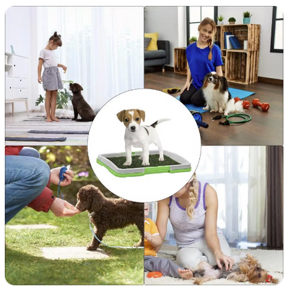 Litiera tip Tavita Toaleta pentru Animale de companie cu Gazon/Iarba Artificiala pentru Casa