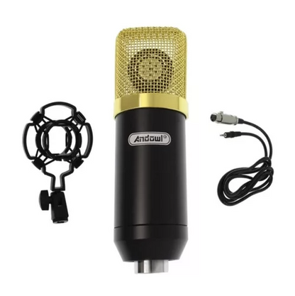 Microfon profesional Andowl Q Mic3 pentru inregistrari