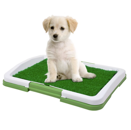 Litiera tip Tavita Toaleta pentru Animale de companie cu Gazon/Iarba Artificiala pentru Casa