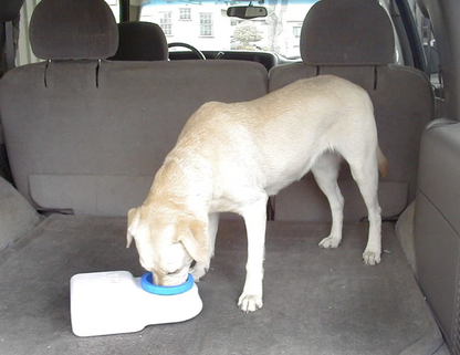 Recipient apa portabil pentru animale de companie, capacitate 3L