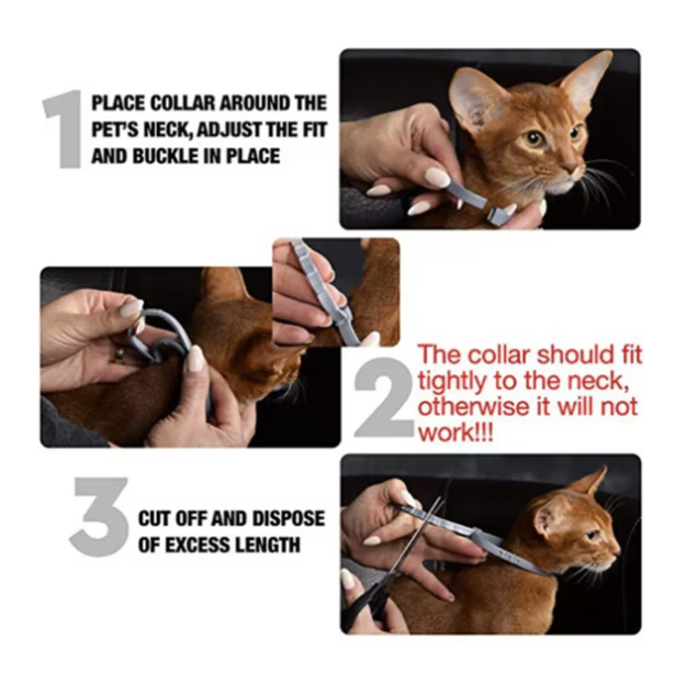 Set X2 Zgarda antiparazitara, pentru purici si capuse, protectie pana la 8 luni pentru animale (caini si pisici)