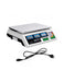 Cantar Electronic 40kg