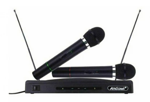 Set 2 microfoane wireless karaoke MIC590