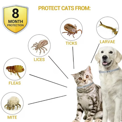 Set X2 Zgarda antiparazitara, pentru purici si capuse, protectie pana la 8 luni pentru animale (caini si pisici)