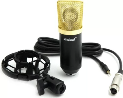 Microfon profesional Andowl Q Mic3 pentru inregistrari